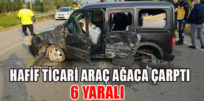HAFİF TİCARİ ARAÇ AĞACA ÇARPTI: 6 YARALI