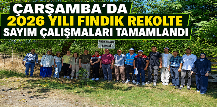 Çarşamba’da 2026 Yılı Fındık Rekolte Sayım Çalışmaları Tamamlandı