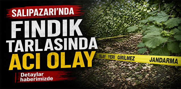 SALIPAZARI’NDA FINDIK TARLASINDA ACI OLAY