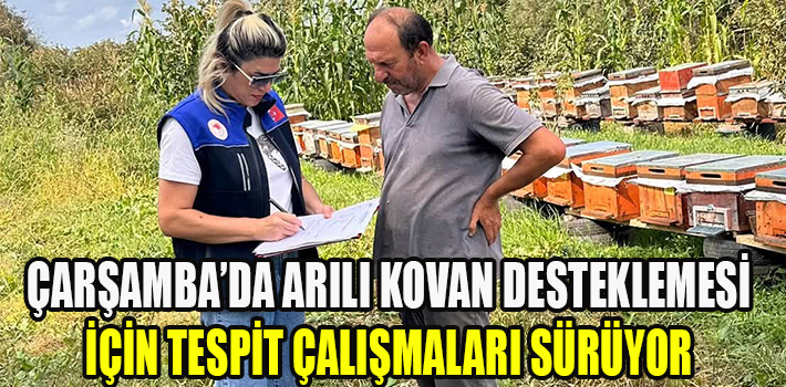 Çarşamba’da Arılı Kovan Desteklemesi İçin Tespit Çalışmaları Sürüyor