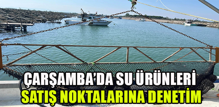 Çarşamba’da Su Ürünleri Satış Noktalarına Denetim