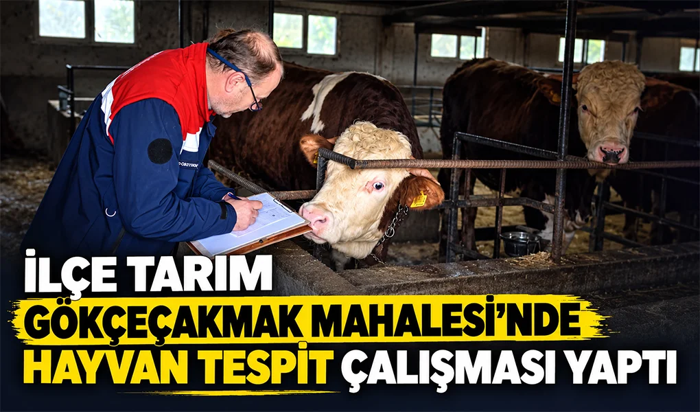  İLÇE TARIM GÖKÇEÇAKMAK MAHALLESİ’NDE HAYVAN TESPİT ÇALIŞMASI YAPTI