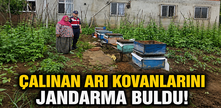 Çalınan Arı Kovanlarını Jandarma Buldu!