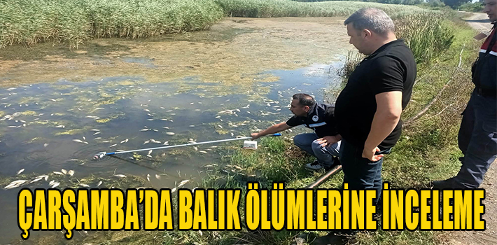 ÇARŞAMBA’DA BALIK ÖLÜMLERİNE İNCELEME