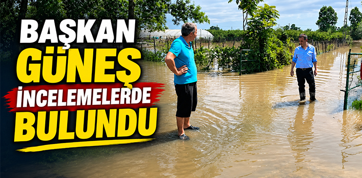BAŞKAN GÜNEŞ İNCELEMELERDE BULUNDU