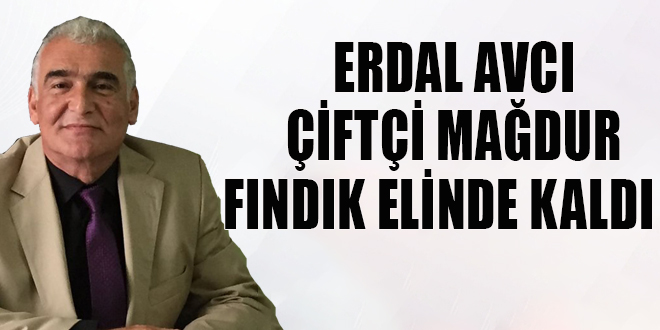  ERDAL AVCI ÇİFTÇİ MAĞDUR FINDIK ELİNDE KALDI   