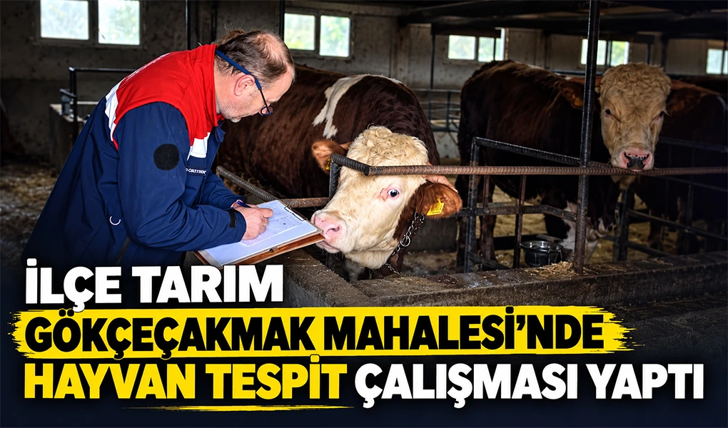  İLÇE TARIM GÖKÇEÇAKMAK MAHALLESİ’NDE HAYVAN TESPİT ÇALIŞMASI YAPTI